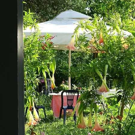 Gospodarstwo agroturystyczne Petro's Riverside Piqeras