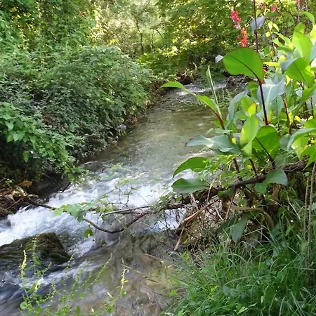 Petro's Riverside * Piqeras